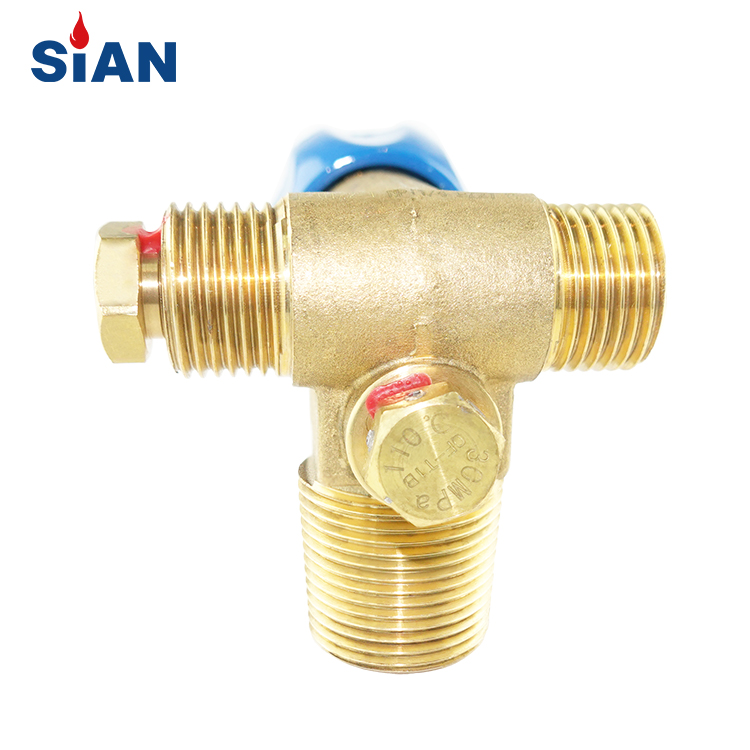 CTF-1 Guaranteed SiAN Brand Outing Car Use Natural Gas Cylinder Valve Brass for Vehicle