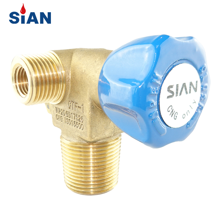 CTF-1 Guaranteed Car Use Natural Gas Cylinder Valve Brass For vehicle